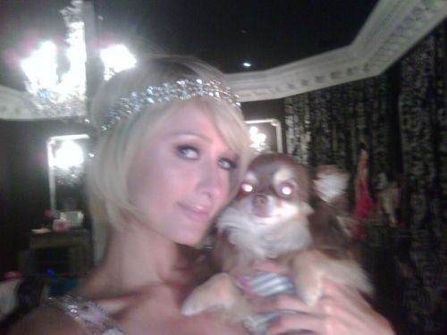 Paris Hilton with her dog Harajuku